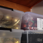 Magazínu Lifee ukázala Lenka Limberská své zásoby vánočních ozdob. 