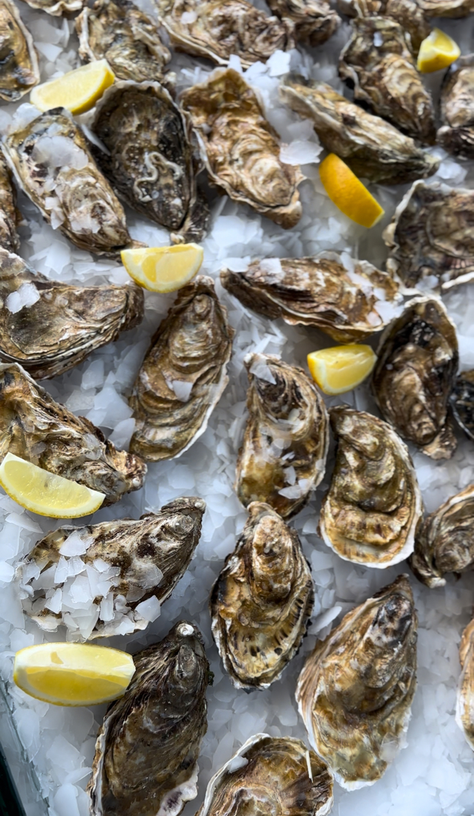 SUMMIT-SPORT představil nové kolekce a trendy letošní zimy