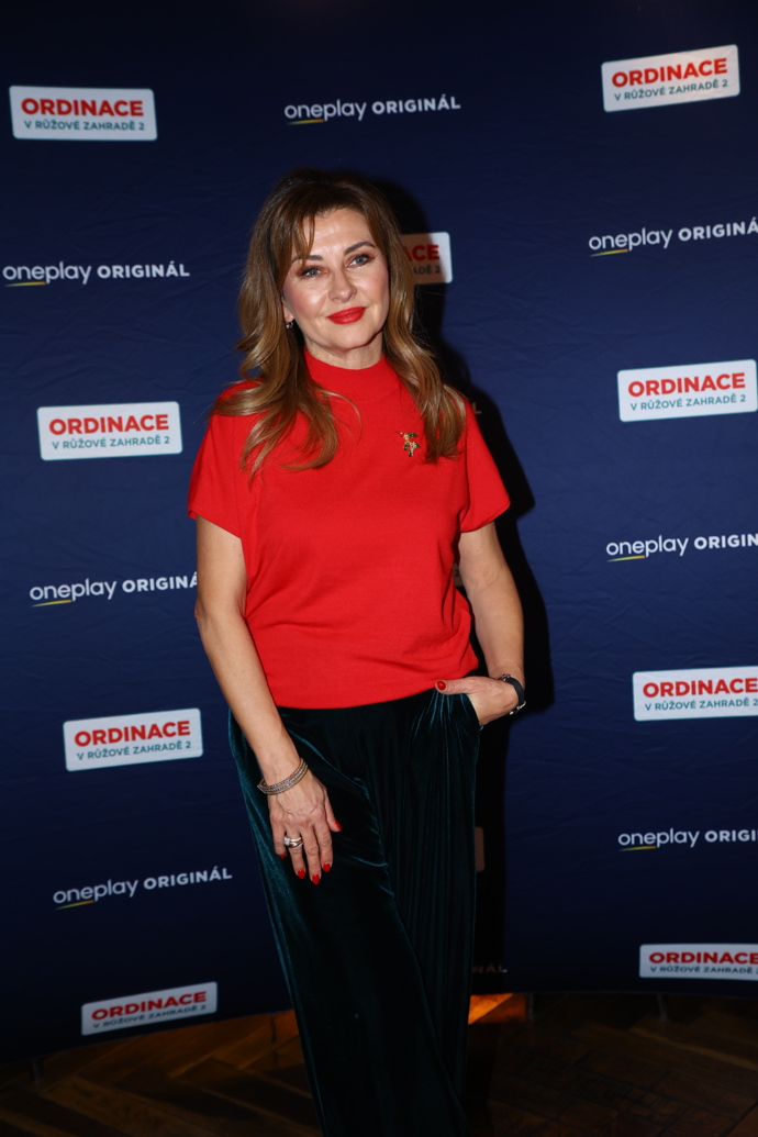 Dana Morávková promluvila o svých pařících letec. 