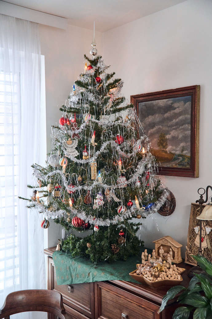 V lednu mívá kdekdo ještě vánoční stromek, stejně tak i Hanka.