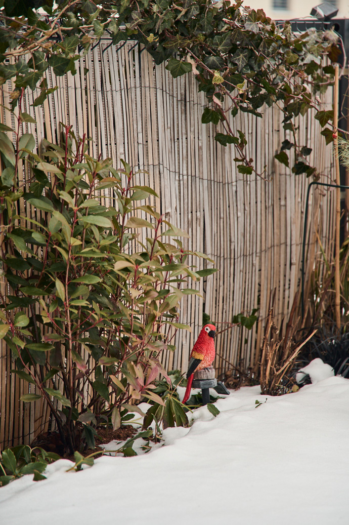 Ptáček, který nezpívá, ale hezky vypadá.