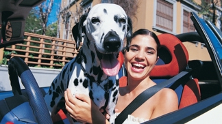 Pokud váš pes začne zvláštně zapáchat, raději vyhledejte veterináře.