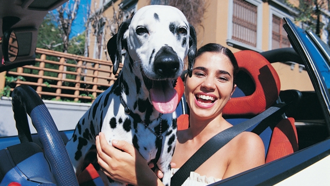 Pokud váš pes začne zvláštně zapáchat, raději vyhledejte veterináře.