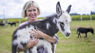 Miniaturní oslíci potřebují výběh, stáj, veterinární péči a lásku svých majitelů.