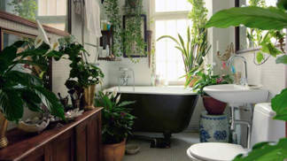 Proměňte svou koupelnu v džungli a vyčistěte ji od nebezpečných toxinů!