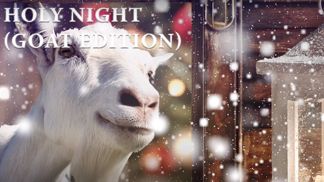 Pod stromeček si přejete kozu. Jen to ještě nevíte.