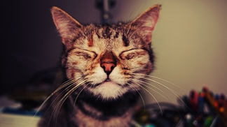 Proměňte zlozvyky ve šťastné návyky – a mějte svůj život rádi.