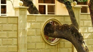 Nezapomínejme na to, odkud jsme vzešli.