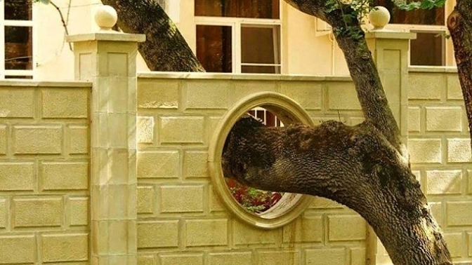 Nezapomínejme na to, odkud jsme vzešli.