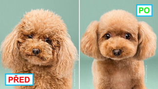 Stylisté dokážou hotové zázraky!