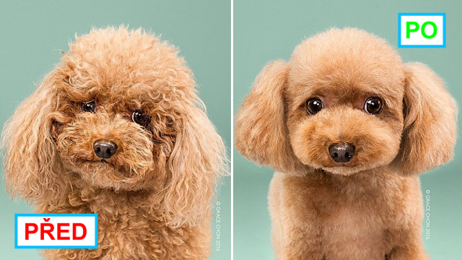 Stylisté dokážou hotové zázraky!