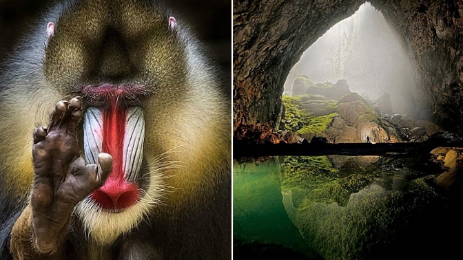 Zdá se vám to, nebo...?