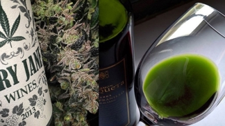 Podle tvůrkyň Canna Vine příjemně uvolní tělo.