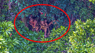 Tito lidé nemají ponětí o tom, co je to počítač.