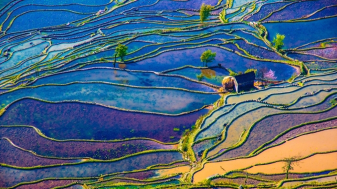Rýžové terasy jsou neuvěřitelně fotogenické.