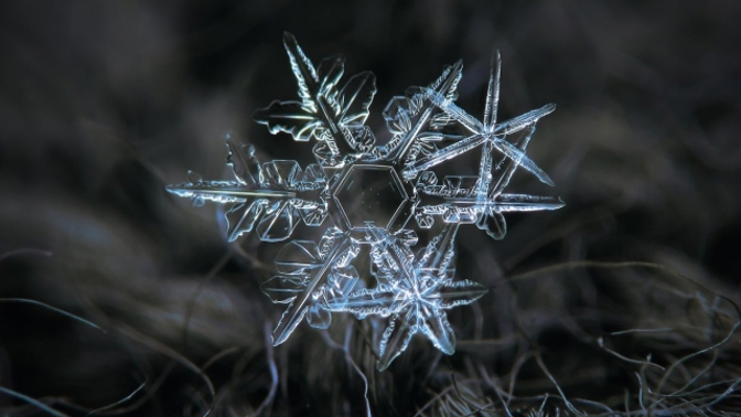 Křehká krása sněhových vloček je omračující.