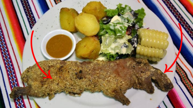 Je libo smažené morče?