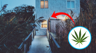 Takzvané zelené bydlení je momentálně in.