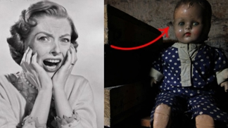 Muzea vystavující podivné věci – třeba penisy – jsou momentálně in.