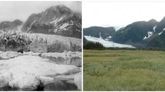 Pedersen Glacier (Aljaška), léto 1917 – léto 2005.