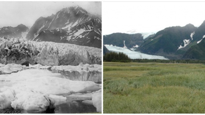 Pedersen Glacier (Aljaška), léto 1917 – léto 2005.