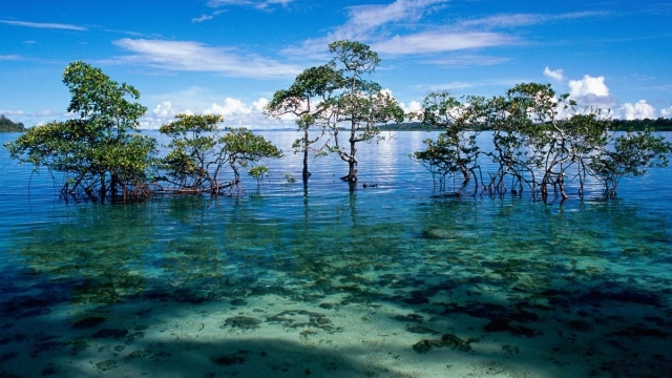 Voda dobře pohlcuje všechna barvy spektra... až na modrou.