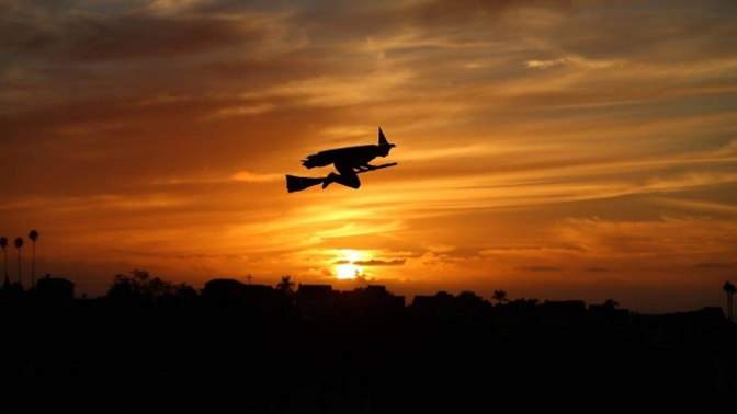 O bizarní okamžiky nebyla v loňském roce nouze.