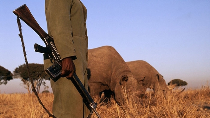 V Kaziranze padlo už 50 pytláků.