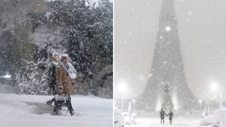 Přes noc napadlo půl metru sněhu.
