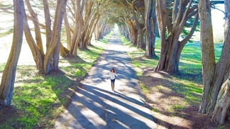 Chase Guttmana sleduje na Instagramu přes 46 tisíc lidí.