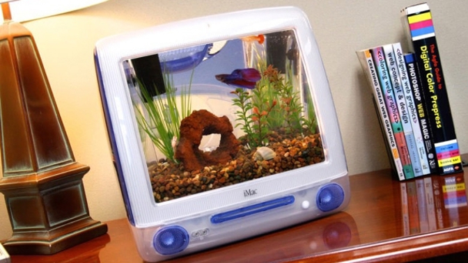 Pohled (nejen) do tohoto akvária uklidňuje.