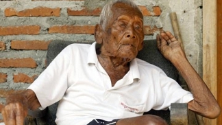 Mbah Gotho přežil všech svých 10 sourozenců, čtyři manželky a dokonce své děti.