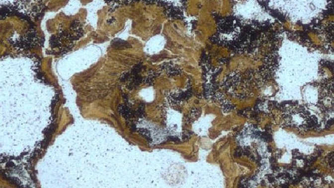 Kolébka lidstva se nachází docela jinde než v moři.