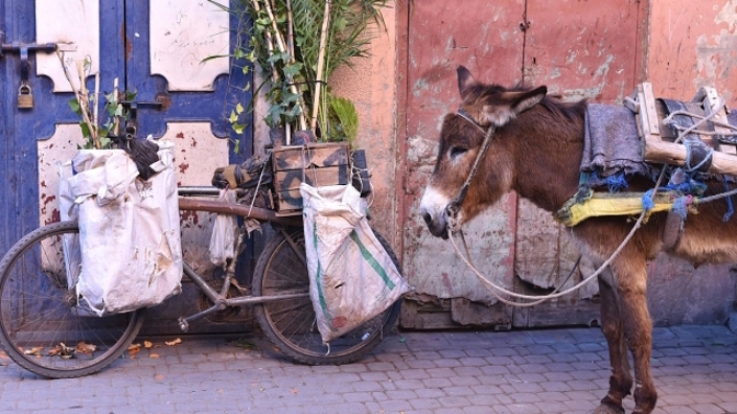 V marockém městě Fes-al-Bali se přepravíte jen pěšky, kočárem nebo na oslovi.