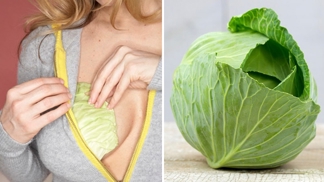 Namísto vycpávek? Kdepak, zelné listy v podprsence měly docela jiný účinek.