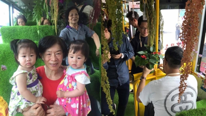 Busem prorůstají kapradiny, orchideje i vzdušné rostliny.