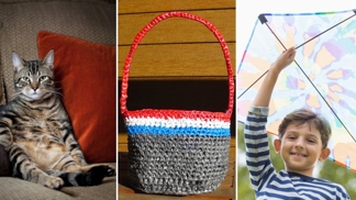 Pelíšek pro mazlíčka, košík i drak. S plastovými taškami lze kouzlit porůznu.