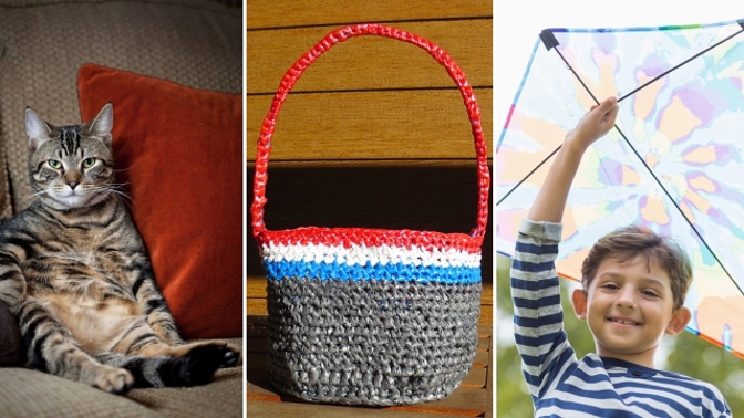 Pelíšek pro mazlíčka, košík i drak. S plastovými taškami lze kouzlit porůznu.