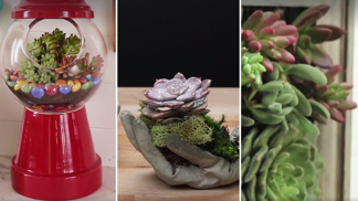 Nad těmito kousky každá návštěva zaplesá.