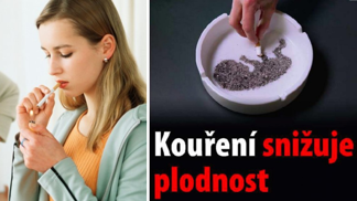 Obrázky nemocí z kouření napadají části mozku spojené se strachem.