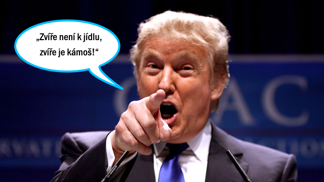 Někteří vegani budí ve všežravcích odpor... vnucováním svých názorů.