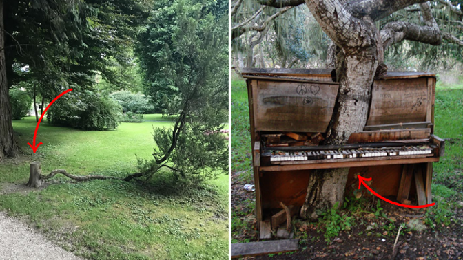 Tito vzrostlí fešáci se člověku jen tak nevzdají.