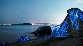 Může za to jev zvaný bioluminescence.