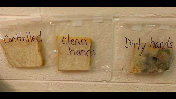 A věřte tomu, že po zhlédnutí tohoto obrázku už jejich očistu nebudete podceňovat.