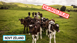 Toužíte navázat nové přátelství? Na Novém Zélandu byste neměli mít problém.