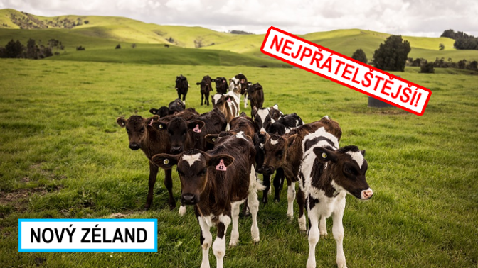 Toužíte navázat nové přátelství? Na Novém Zélandu byste neměli mít problém.