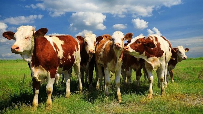 SOUTĚŽ o balíček plný bioproduktů!