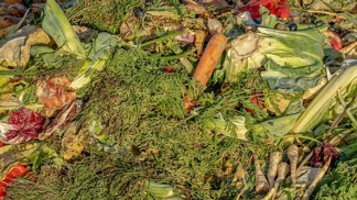 Potravinová banka přišla o vůz a potraviny končí zbytečně v koši! Pomozte nám to změnit