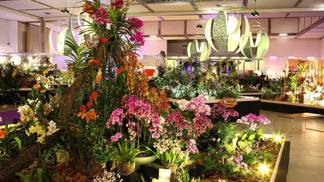 V rámci jarního veletrhu se koná jedna z největších a nejkrásnějších mezinárodních výstav orchidejí v Evropě