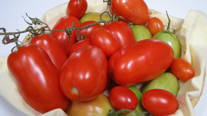 Rajčata mají nízký glykemický index a kalorické hodnoty.